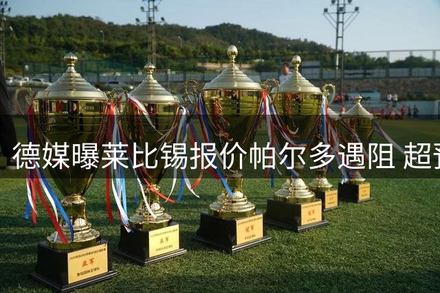 德媒曝莱比锡报价帕尔多遇阻 超预算或放弃竞购