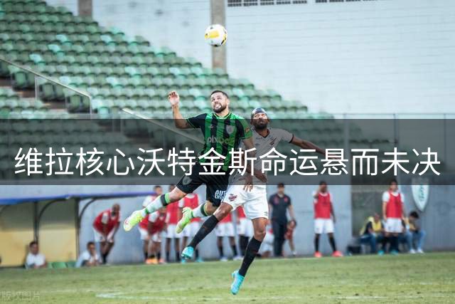 维拉核心沃特金斯命运悬而未决