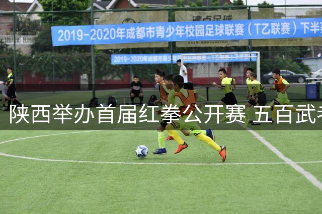 陕西举办首届红拳公开赛 五百武者展非遗武术魅力