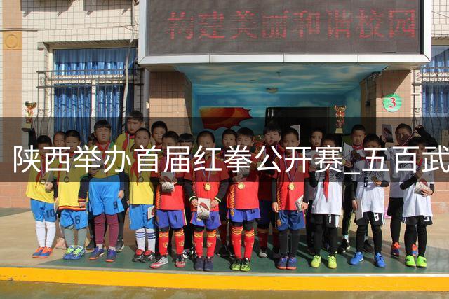 陕西举办首届红拳公开赛 五百武者展非遗武术魅力